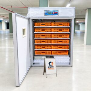 1056-Egg Fully Automatic Commercial Incubator Kenya